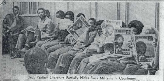 Black Panther Literature Partially Hides - News Article