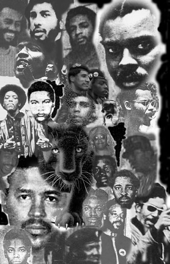 Dedicated to the Black Panther Party
